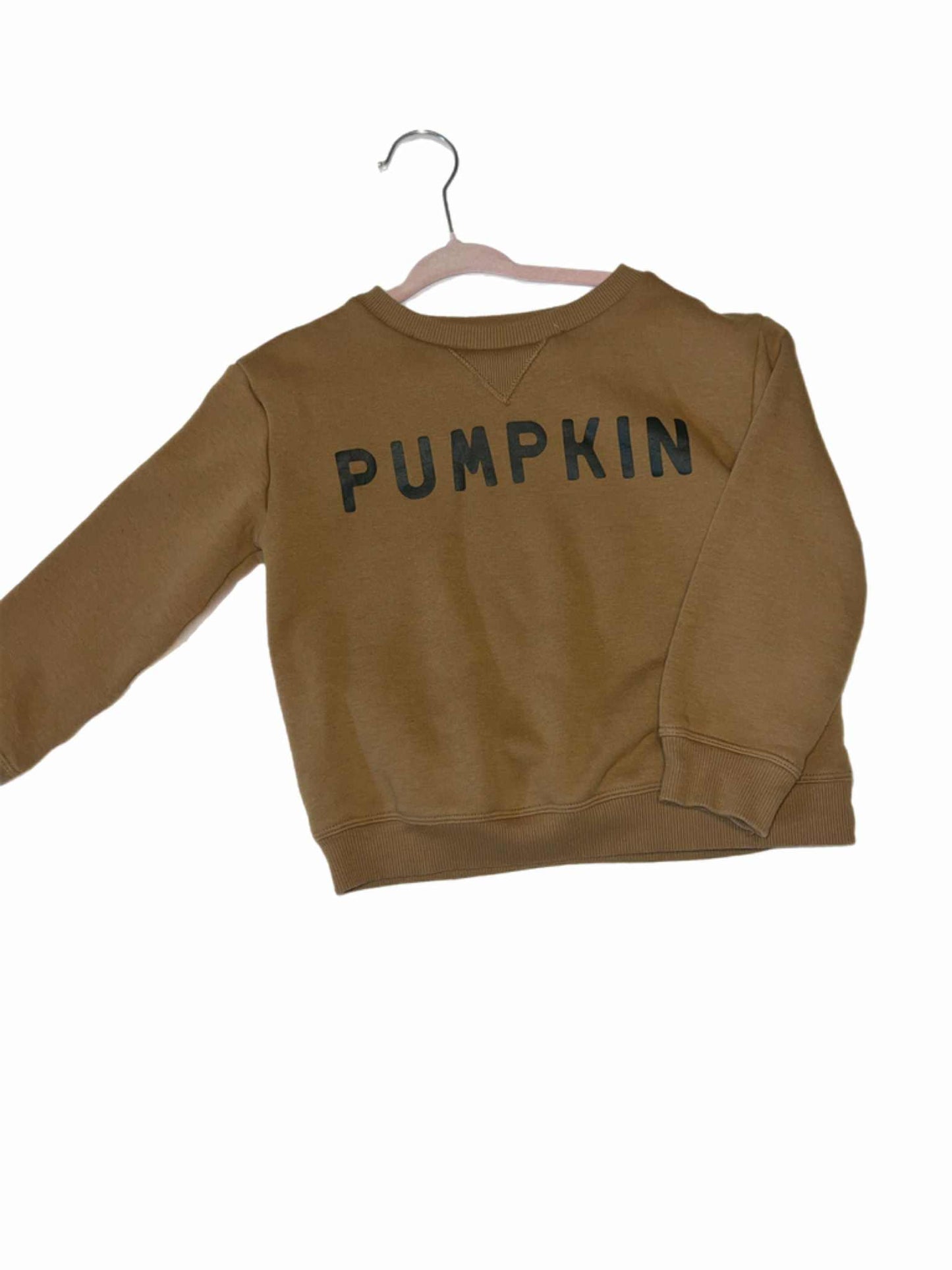 Pumpkin Crewneck Sweatshirt