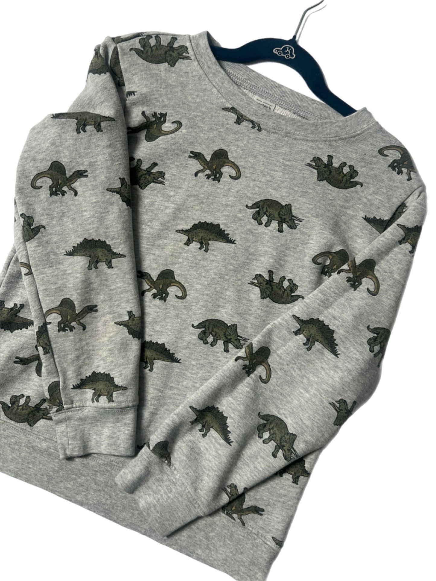 Boys Dinosaur Crewneck Sweatshirt