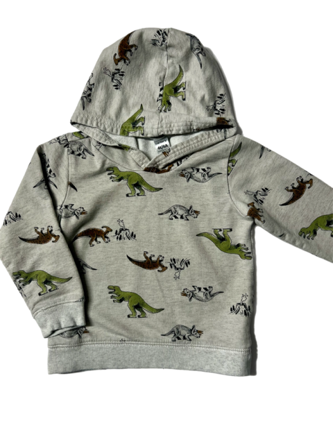 Boys Dino Hoodie