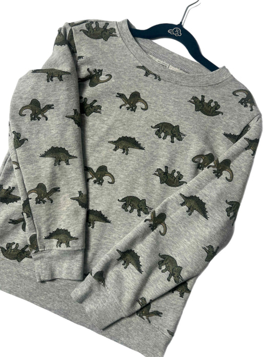 Boys Dinosaur Crewneck Sweatshirt